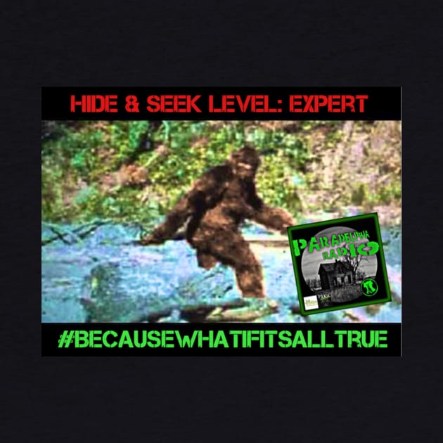 Bigfoot Hide & Seek Expert by Paradelphia